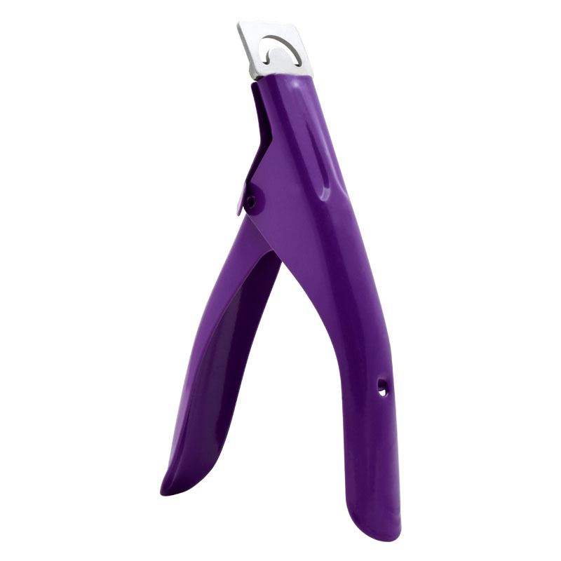 Purple-In OPP bag