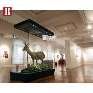 DG History Showcase Custom Glass Display Cabinet Museum Display Case Museum Display Showcase