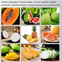 Hoge kwaliteit roestvrijstalen ananas- en mangoschilmachine/ Groothandelsprijs automatische citroen- en mangoschilmachine