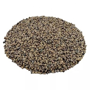 Semillas de girasol salada, semillas de cártamo, semillas de comino 99,5, extracto de semilla de Cassia, polvo y hierba, barato - Product Image 3