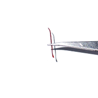Filaments de Safran Complets en Gros, Fourniture Directe Usine, pour l'Activation Sanguine et Matière Première pour Thé Santé, Testé en Laboratoire, Approvisionnement en Vrac