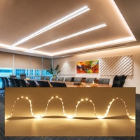 Bande LED à courant constant SMD2835 super longue 20M/rouleau, DC24V 9.6W/M, 120 LED, CRI90, 10mm, éclairage de pièce LED, bande LED haute efficacité