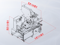 Machine d'emballage horizontale à comptage automatique pour plusieurs pailles en papier