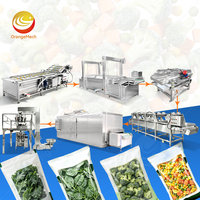 ORME productielijn voor het wassen, drogen en vriesdrogen van frieten, fruit en groenten.