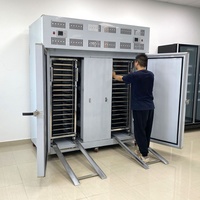 Commerciële goedkope -40°C diepvriesmachine met 2 deuren en karren voor empanada's, dumplings, zeevruchten en vlees.