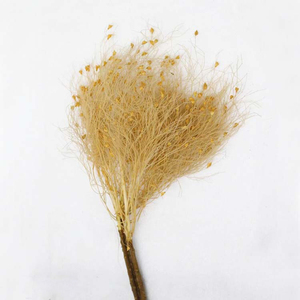 2023 Soft Dream Yunnan gros plante de fleurs séchées stabilisé préservé éternel suspendu préservé herbe de rêve préservée pour la décoration de mariage - Product Image 3