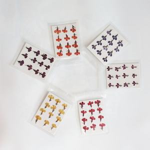 M003 coque de téléphone DIY préservée vraie <span class=keywords><strong>fleur</strong></span> séchée pressée résine Nail Art bijoux cadre <span class=keywords><strong>Lobelia</strong></span> petites fleurs séchées <span class=keywords><strong>fleur</strong></span> naturelle - Product Image 3