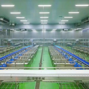 Sistema Automatico di Produzione e Riempimento Polveri Personalizzabile, Linea di Produzione con Nastro Trasportatore Automatico - Product Image 4