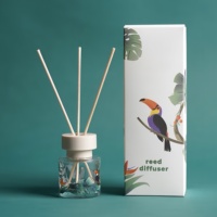 Ensembles de diffuseurs à bâtonnets personnalisés en gros, 50 ml, en verre, parfum longue durée, pour salon et toilettes, cadeau tendance pour influenceurs