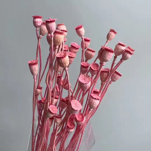 Vente en gros de coquilles de pavot séchées et préservées, mini-têtes de graines pour bouquets de mariage, arrangements floraux, Fête des Mères - Product Image 1