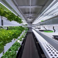 Serre commerciale en conteneur, ensemble complet avec technologie d'agriculture intelligente pour la culture de la laitue, des épinards, du chou et des herbes aromatiques