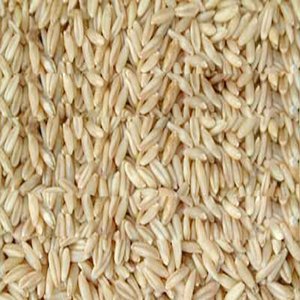 Túi Đựng Lúa Mạch Trung Quốc Bán Sỉ Mới Giá Đóng Gói Chim Kiểu Mạch Nha Máy Làm Sạch Nguồn Gốc Loại Người Nhiều Kích Cỡ Khô - Product Image 2