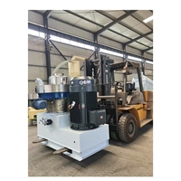 Haute capacité Fada marque 160 Kw moteur sciure bois riz balle usage domestique pas cher Machine à granulés CE Chine usine haute productivité