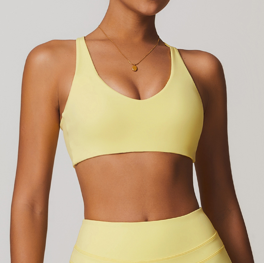 reggiseno4