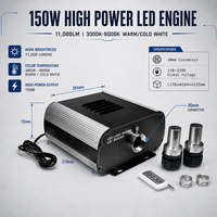 Moteur d'éclairage LED à fibre optique 150W 3000K blanc chaud, source lumineuse LED scintillante à fibre optique pour éclairage de piscine, d'étoiles et de périmètre