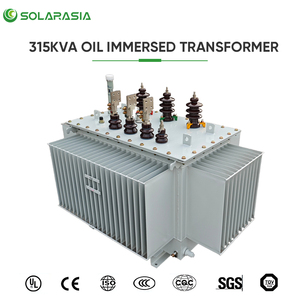 Out Door Toroidal Oil Immersed <strong>Transformer</strong> 315Kva Two Windings Power <strong>Transformer</strong> <strong>Three</strong> Phase for Industrial Use - Product Image 4