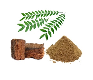 Extrait de catechu d'acacia de qualité supérieure 8:1 poudre d'épice naturelle à partir de matière végétale pure pour application culinaire de boisson aromatisante - Product Image 6
