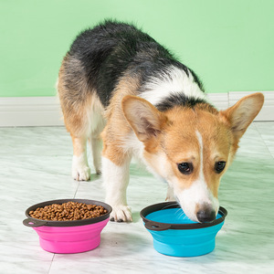 Conteneur pliable pour nourriture et eau pour animaux de compagnie en silicone écologique, bol de voyage portable pour chien, bol à boire rétractable pour animaux de compagnie en plein air - Product Image 2