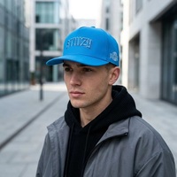 Casquette de baseball en coton bleu à 5 panneaux OEM ODM avec logo brodé 3D en relief personnalisé pour les grossistes, usine BSCI, prix streetwear