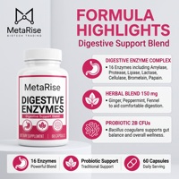 Green Elixir OEM Probiotiques en Capsules Milliards d'UFC Complexe d'Enzymes Digestives Végétaliennes à Base de Champignons 30/60 Comprimés Durée de Conservation de 24 Mois pour