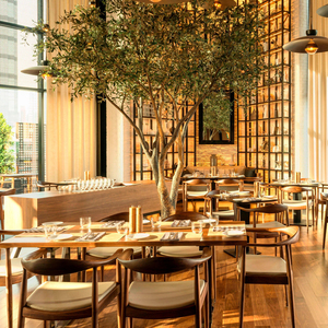 Juegos de Sillas para Restaurantes de Hoteles 5 Estrellas con Reposabrazos y Muebles Comerciales Sillas y Mesas para Hotel para Solución Integral - Product Image 1