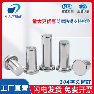 304 Stainless Steel Flat Head Rivets Gb109 10 12 14 16 20mm Hammered Type Solid Rivets For Construction Industry - Product Image 5