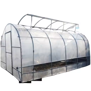 High Quality Galvanized Steel Frame PE Film <b>Greenhouse</b> - Product Image 5