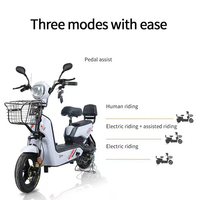Moto Électrique Adulte Puissante 300-500W, Scooter Électrique CE, Mobylette Électrique Vente en Gros Usine