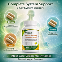 OEM Vegan Multivitaminen en Mineralen Capsules 6 Maanden Voorraad Private Label Voedingssupplementen Fabrikant