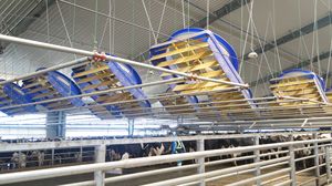 Ventilador Industrial Comercial de Flujo Axial para Granjas Lecheras de 72'' con Motor EC PMSM para Ventilación de Establos de Ganado - Product Image 4