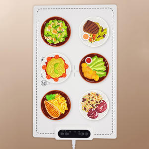 Elektrische warmhoudplaat, draagbaar, opvouwbaar, extra groot, voor het warmhouden van voedsel met instelbare temperatuur en tijd. - Product Image 2