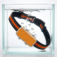 Collier GPS rapide pour animaux de compagnie Qcool avec compteur de pas, positionnement en temps réel (AGPS/LBS), surveillance du temps de repos, géolocalisation et étanchéité IP67