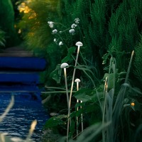 Lampe solaire d'extérieur pour pelouse Narcissus 2W 3000K, IP65, CRI 95 élevé, aluminium PMMA, éclairage de chemin