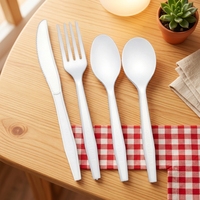 Couverts compostables en CPLA de qualité alimentaire, lourds et biodégradables, pour le camping en plein air