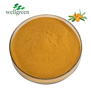 Wellgreen Supply Seabuckthorn Powder Sea Buckthorn Fruit Berry Extract