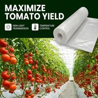 Film de serre pour tomates 200 microns, résistant aux UV, PE haute transparence, anti-goutte, co-extrusion 3-5 couches, tunnel haut