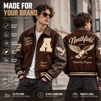Veste universitaire personnalisée en chenille brodée, col rabattu, corps en laine, manches en cuir PU, motif aigle vintage, veste de style Letterman