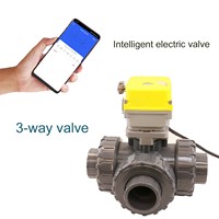 Vanne à boisseau sphérique motorisée intelligente WiFi Tuya 2 pouces, 3 voies, DN32 DN50, à brancher, type T ou L, télécommandée, 220V 24V 12V