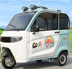 Taxi tricycle électrique miniature personnalisé Meiyun, 1500W-3000W, carrosserie fermée, <span class=keywords><strong>3</strong></span> passagers, 30-50 km/h - Product Image 1