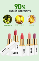Logo personnalisé 24-Color Solid Lipstick Private White Square Tube avec des ingrédients à base de plantes et minéraux Matte Lipsticks