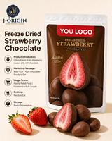 Gefreeze-droogde aardbeienchocolade snack premium fruit snoep 58g 40 zakjes 12 maanden houdbaarheid kant-en-klaar OEM/ODM Private Label