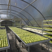 SURRI Grote Capaciteit Mango Ananas 300-500kg Zonne-aangedreven Motor Droogmachine met 1 Jaar Garantie voor Kas