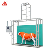 Système intelligent de mesure corporelle du bétail, machine de capture des dimensions corporelles du bétail pour la gestion de l'élevage bovin