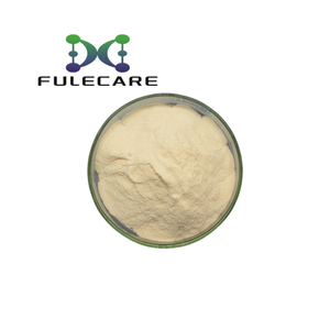 ผงเลซิตินจากดอกทานตะวันออร์แกนิก - Product Image 1