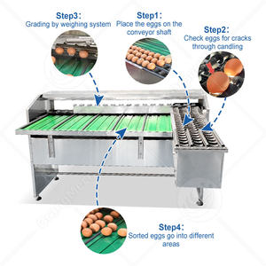 Haute qualité Philippines automatique petite échelle d'oeufs niveleuse canard poulet trier la <span class=keywords><strong>machine</strong></span> d'oeufs au poids - Product Image 3