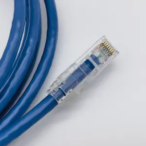 Cat6 24AWG 차폐되지 않은 UTP PVC 이더넷 네트워크 패치 케이블 판듀 용 구리 패치 코드