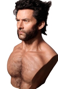 Vendita calda di nuovi prodotti a grandezza naturale realistico wolverine busto per la vendita - Product Image 2