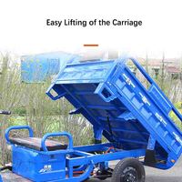 Vente en gros 60V1000W EEC Tricycle électrique à 3 roues pour le fret Tricycles agricoles chinois