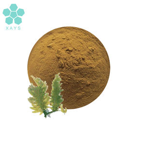 कारखाने की आपूर्ति पानी में घुलनशील एस्कोफिलुम नोदोसम पाउडर एस्कोफिलम नोदोसम सेवीड अर्क पाउडर - Product Image 1