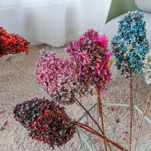 Fournisseur d'articles floraux d'usine : Hortensia Arborescens stabilisé, fleur éternelle au toucher réel, pour cadeaux de mariage et décoration de table, OEM personnalisé - Product Image 6
